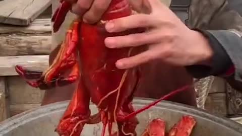 Fishermen Eat Super Huge Fresh Seafood 🦀🦐 Eating Addiction