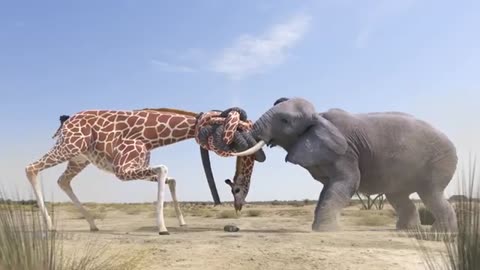 New 2020 Elephant vs Giraffe Water Fight 720p. Wildlife Biggest Animal Fight In World forest.