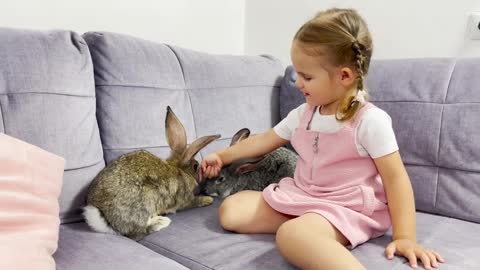 Adorable_Baby_Girl_Meets_New_Rabbits_for_the_First_Time_&_Wonders_Why_They_Have_Such_Big_Ears