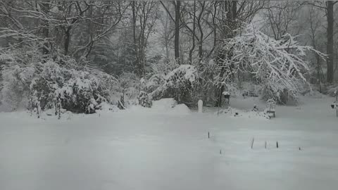 Snow In Slo Mo