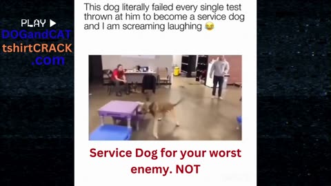 Service Dog 4ur Worst Enemy