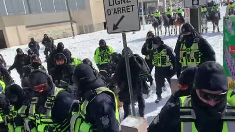 Canadian policemen assaulting peaceful demonstrators