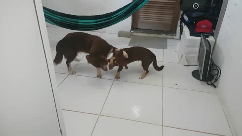 Mother and daughter playing.