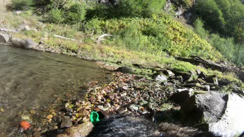 German Shepherd Wearing GoPro Swims Into A Majestic Rainbow