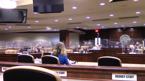 Dallas Guynes Green testifies for Gun Owners of Arkansas Amendment to SB24