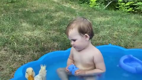 Funny Baby Reaction to Duckling in the Pool funny baby