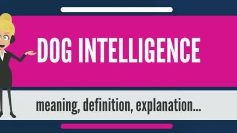What is DOG INTELLIGENCE? What does DOG INTELLIGENCE mean? DOG INTELLIGENCE meaning & explanation
