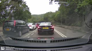 Cattle Herd Wanders Through Busy Traffic