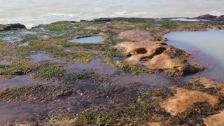 Low tide, near Mar del Plata, Argentina