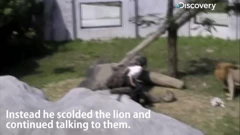 #Lion attacks Man and KILLED _ #UntamedUncut