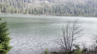 Leaving Link Creek Campground – Suttle Lake – Central Oregon – 4K