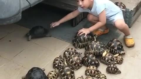 Roki playing with Group of tortles like drums on the roaf of his aunt