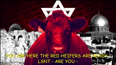 You Ready For The 3rd Temple! Bring Me The " RED HEIFERS"