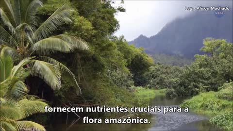 The Sahara feeds the Amazon Brasil