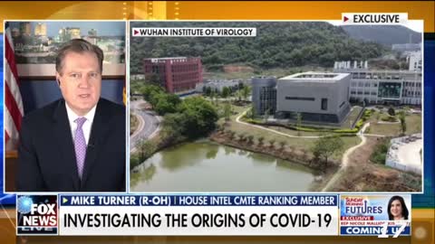 Mike Turner says the US needs to declassify all the information they have on the origins of Covid