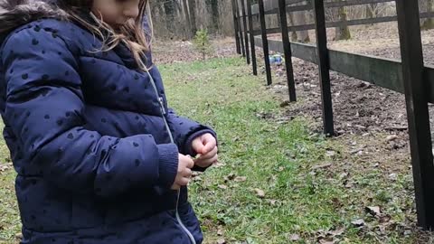 Little girl and her horse share incredibly precious moments together