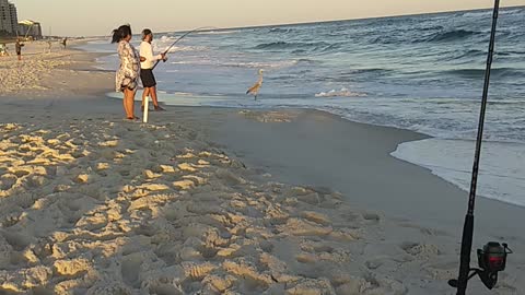 Fishing at the beach