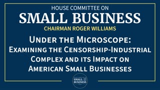 Examining the Censorship-Industrial Complex and its Impact on American Small Businesses