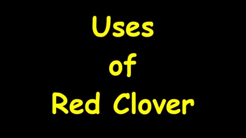 10 USES OF RED CLOVER (for FEMALE PROBLEMS)