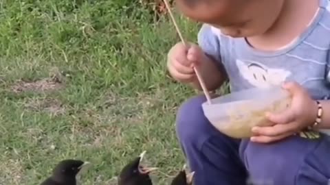 Baby give foods to birds