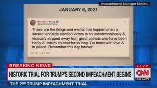 Cicilline On Trump Impeachment
