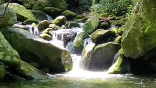 Peaceful Waterfall in TN