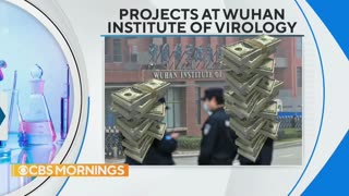 US likely was double billed for risky research at Wuhan Lab