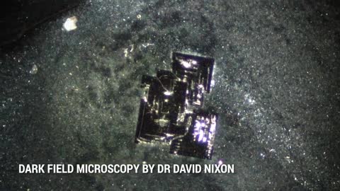 Dark Field Microscopy by Dr David Nixon, Australia