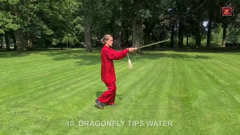 Yang Tai Chi Sword | Yang Taiji Jian 30 Form He Yong Gan