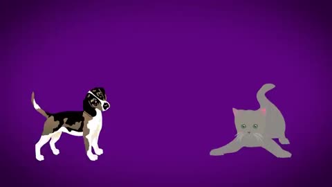 Cats _ Dogs Be Friends_ _ Jackson Galaxy(360P