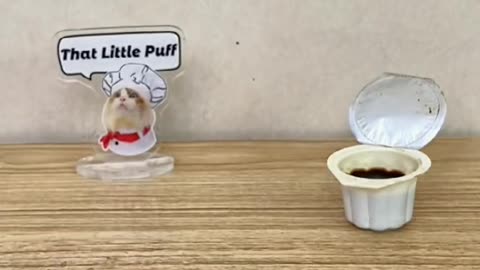 Who drinks a latte every morning like Puff?
