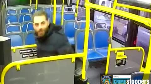 Couple caught having sex on NYC bus, witnessed by juvenile, wanted by police