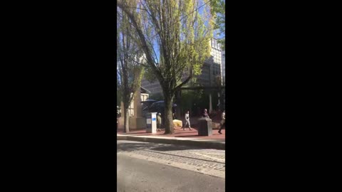 Street Preaching Pioneer Court House Square April 2024