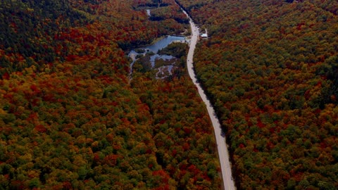 Autumn Fall Aerial Footage