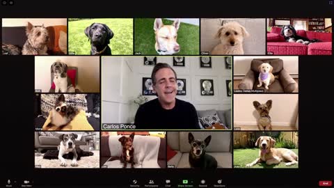 Carlos Ponce Performs “Somewhere Over the Rainbow” for Dogs Over Zoom Peacock At-Home Variety Show