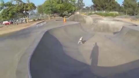 Awesome Dog Skating at a Skate Park