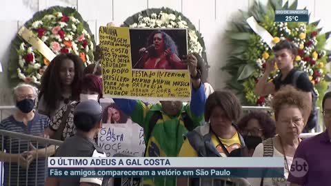 Fãs fazem filas para se despedir de Gal Costa _ SBT Brasil (11_11_22)