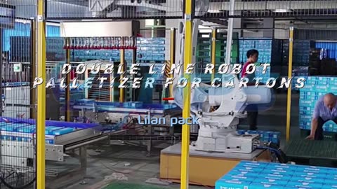 Double line robot palletizer for cartons #palletizer #cartons #packer #foryou