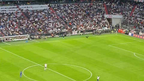 Paper Airplane Takes Flight at Soccer Stadium in Germany