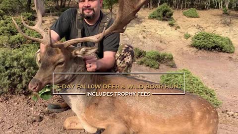 Safari International Macedonia 5-Day Fallow Deer & Wild Boar Hunt