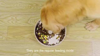 PUZZLE FEEDER A Eating Habit Changing Device for Your Dog by PUZZLE FEEDER — Kickstarter