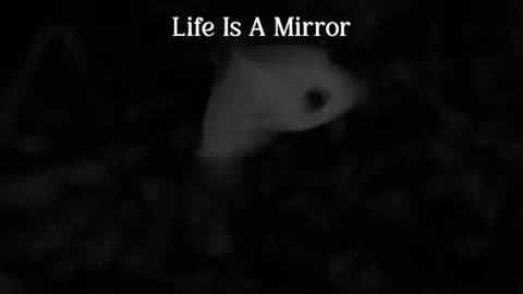 Life is a mirror