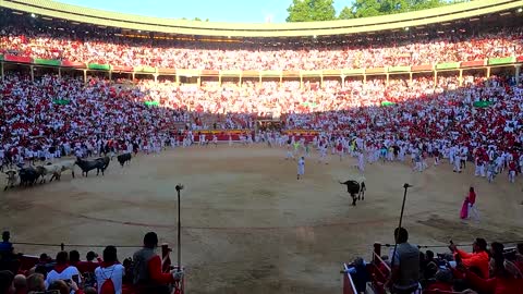 Two gored in Pamplona bull run