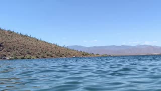 Floating in the Lake