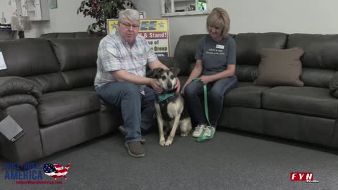 PET OF THE WEEK: Meet Max - HumaneSocietyofBlueRidge.org