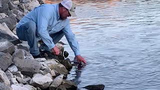 Idaho sturgeon