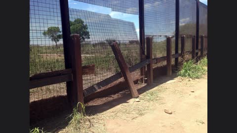 Ranching on the Mexican Border