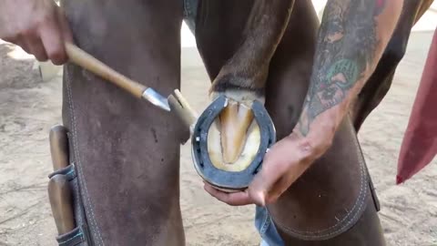 Full restoration-farrier ASMR-Oddly Satisfying