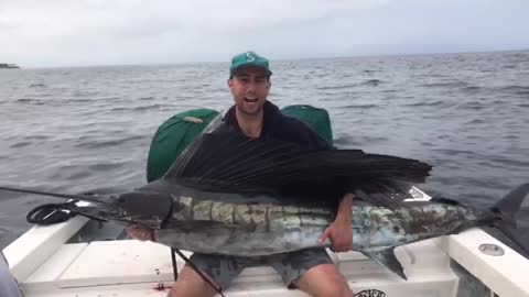 Sailfish Puerto Vallarta fishing with PV Sportfishing Captain Scooby