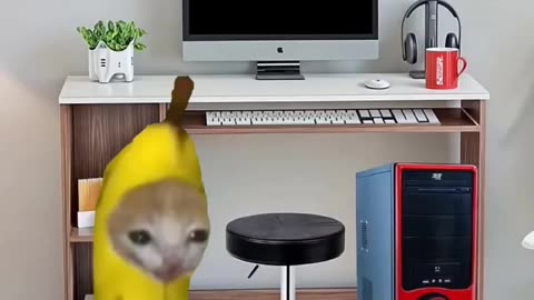BANANA CAT 🍌🐱DIG GROUND AND PLAY PC #catmemes #cat #cutecat
